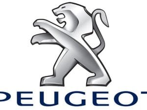 Lampi Led Peugeot
